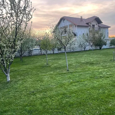 Willa Villa Dally